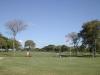 Hole 14 green
