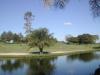 Hole 16 green